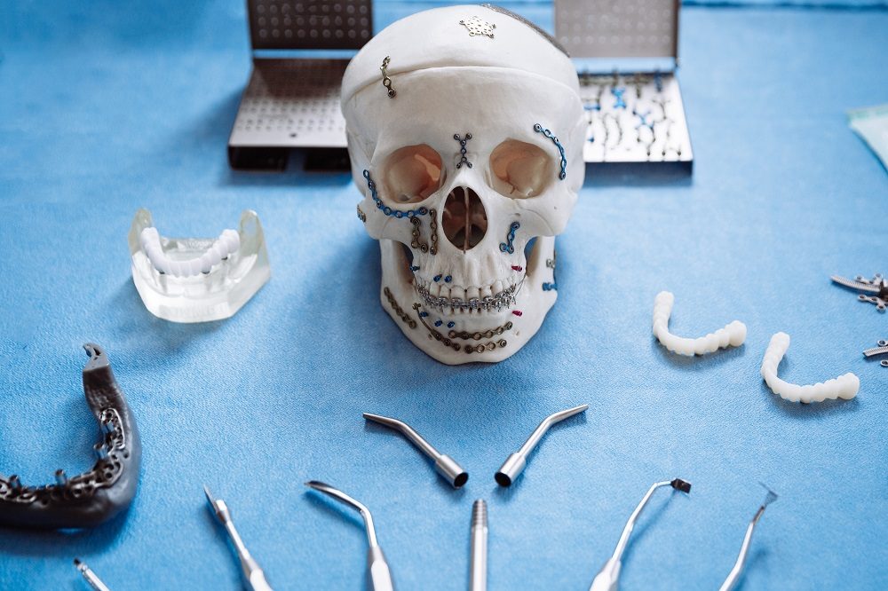 The,Model,Of,The,Skull,For,Maxillofacial,Surgery,And,Dentistry